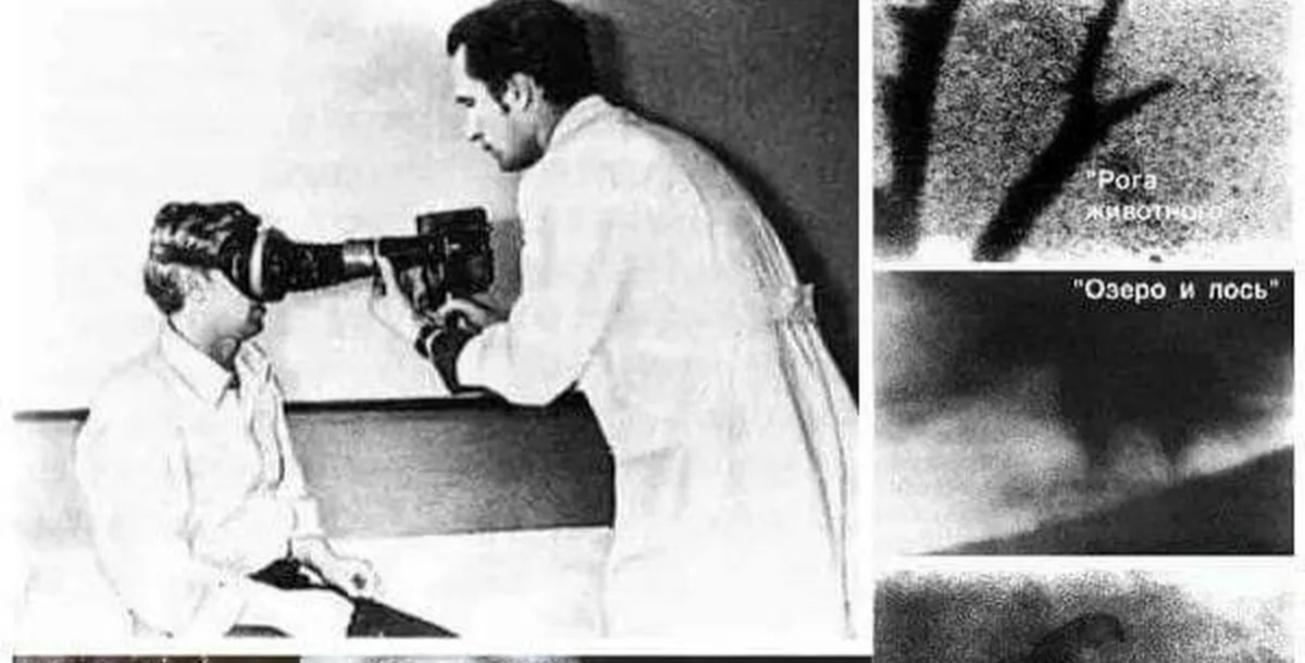 Картинка из интернета 