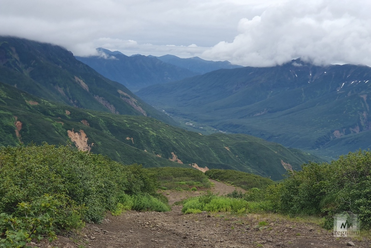    Камчатка / Источник: Алексей Иванов © ИА REGNUM