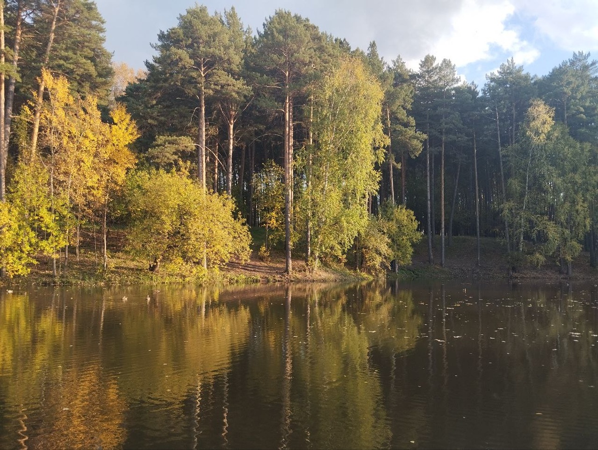 Популярный среди новосибирцев парк Сосновый бор преображается.  Фото: Фото: ФедералПресс / Екатерина Ломакина