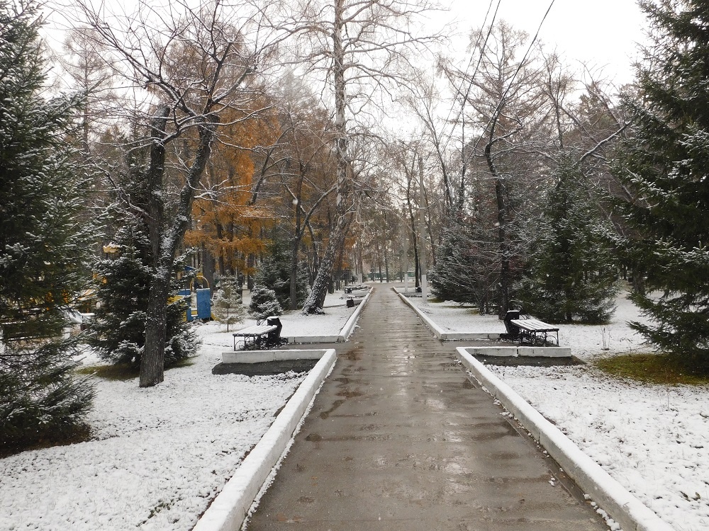    Снег. Фото Анны Зубаревой