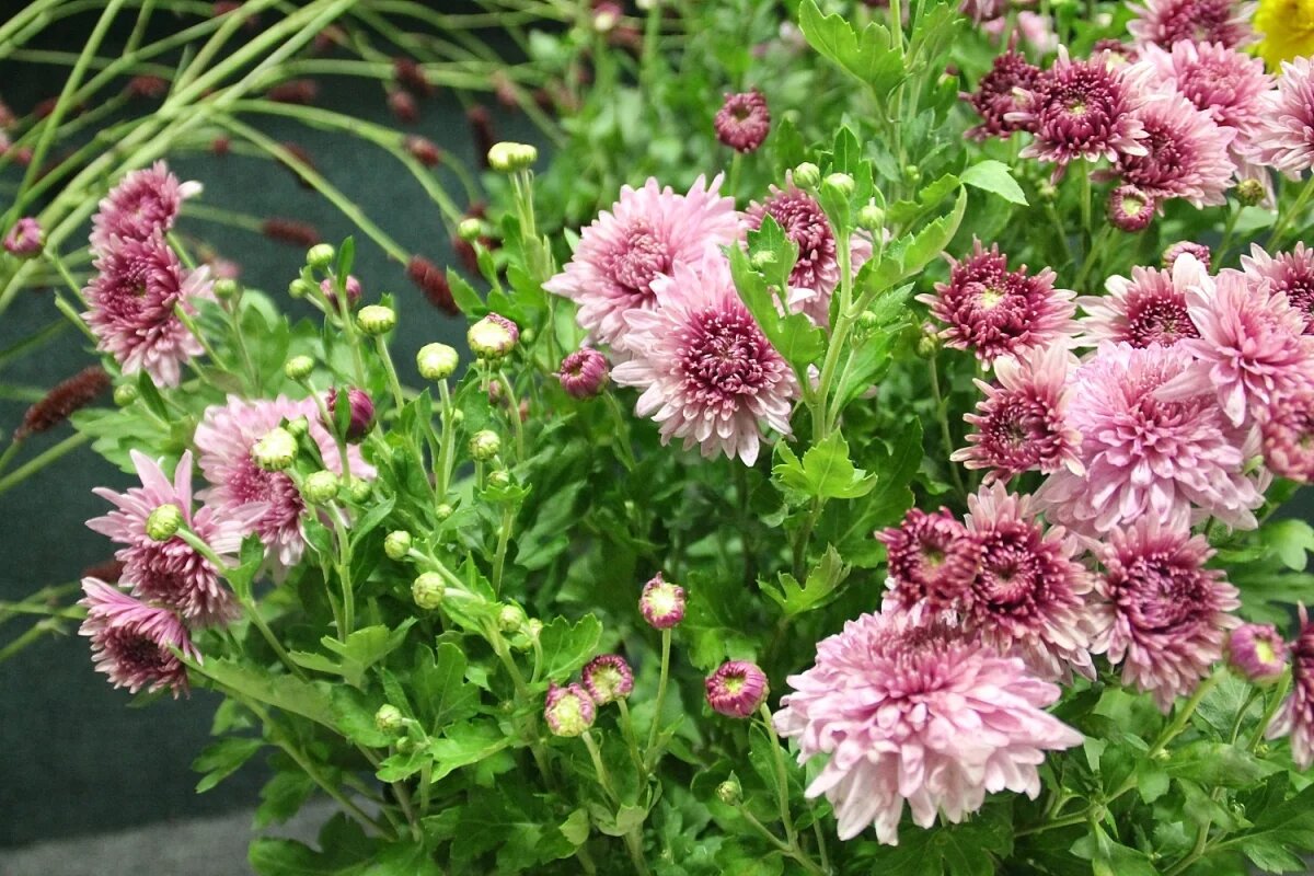    В Башкирии с 6 по 8 октября потеплеет до +17 градусов