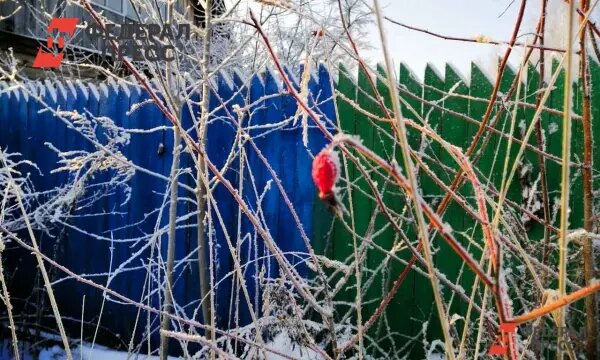    Фото: fedpress.ru Евгений Иванов