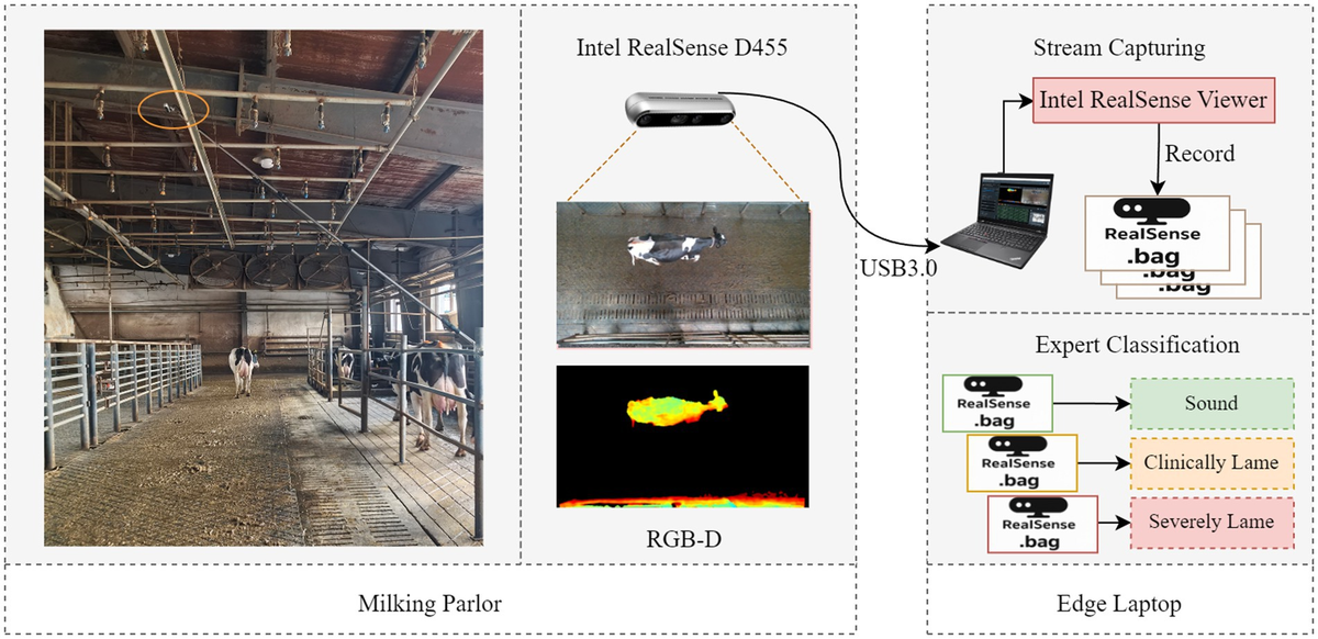 Сбор данных.