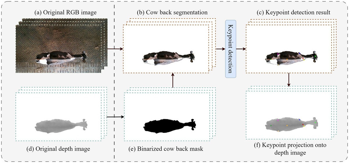 Схематическое изображение предварительной обработки RGB-D-изображения и процесса определения ключевых точек. 
