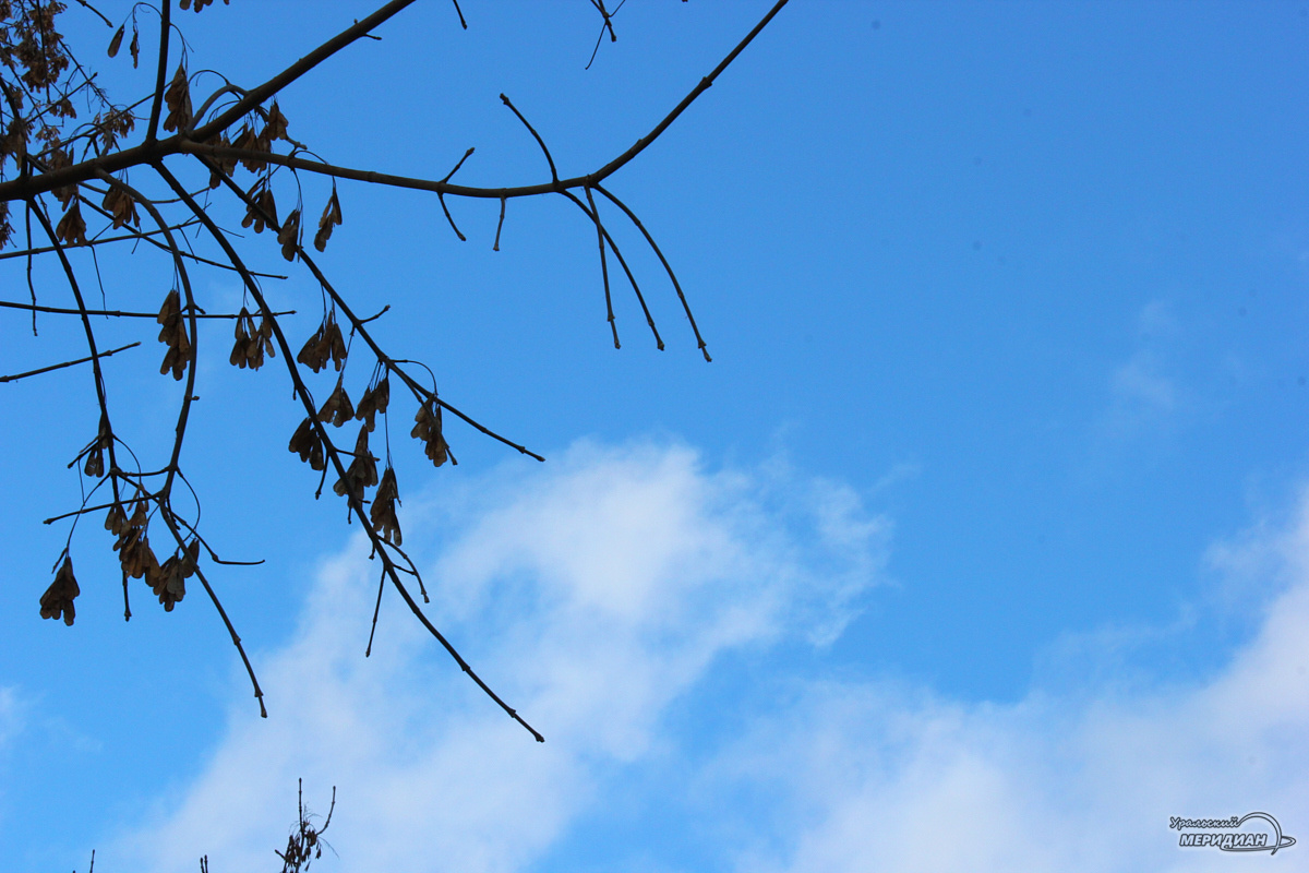    Фото: Лидия Аникина © ИА «Уральский меридиан»