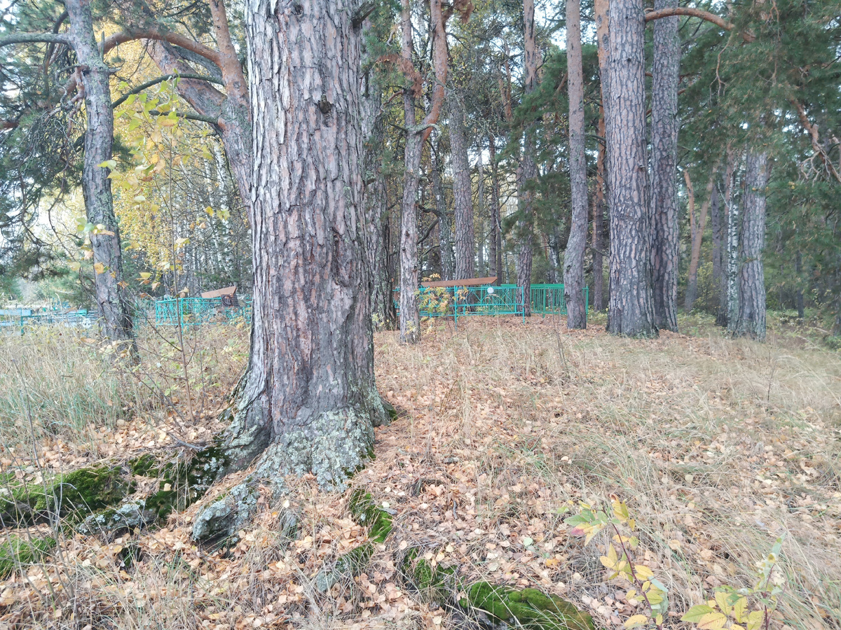 Место захоронения Мухтаббара. Это возвышенность сразу возле забора.