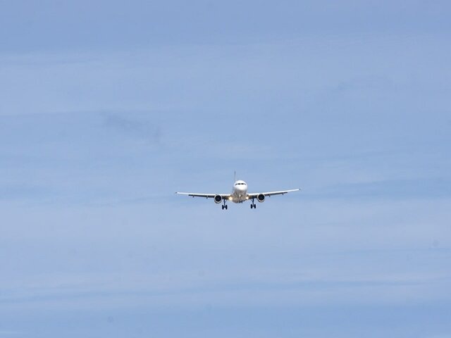    Фото: 123RF/sanguer