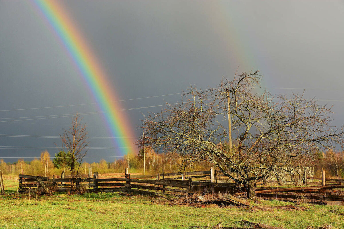 она подала на развод с мужем
