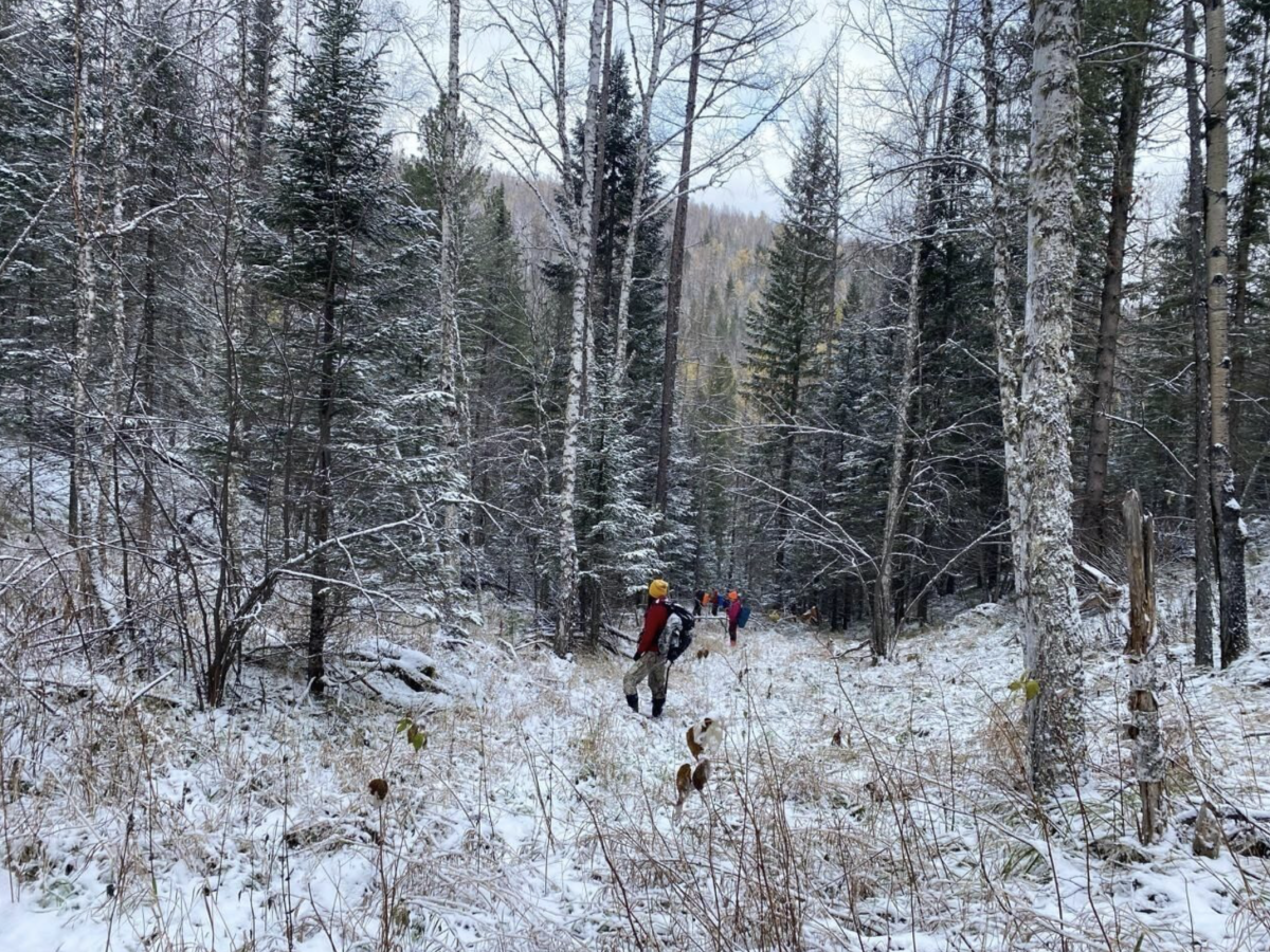 Фото: СК Красноярского края и Хакасии