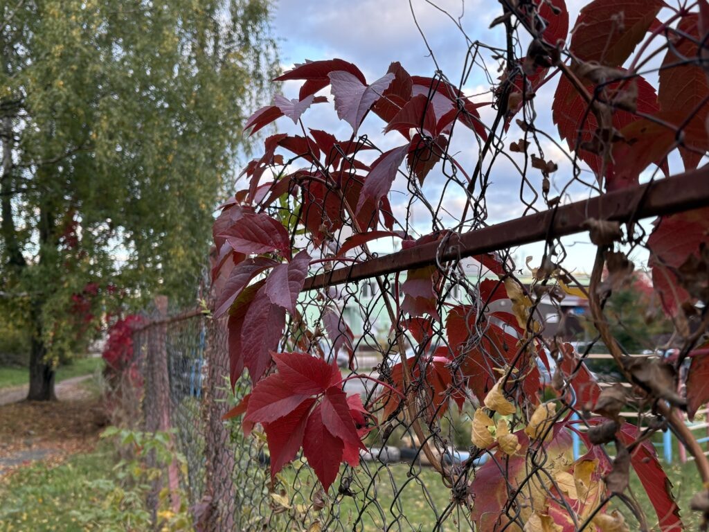    Фото: v-kurse.ru Ольга Гилёва