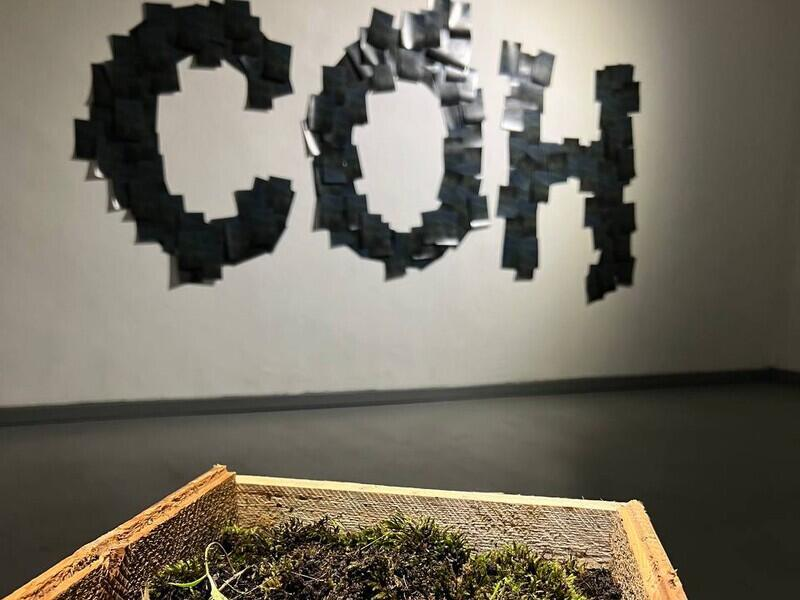 © Фото: Первый Байкальский