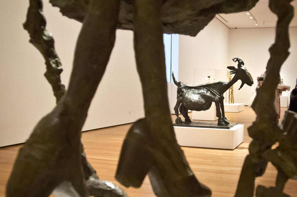 Фото из открытых источников 