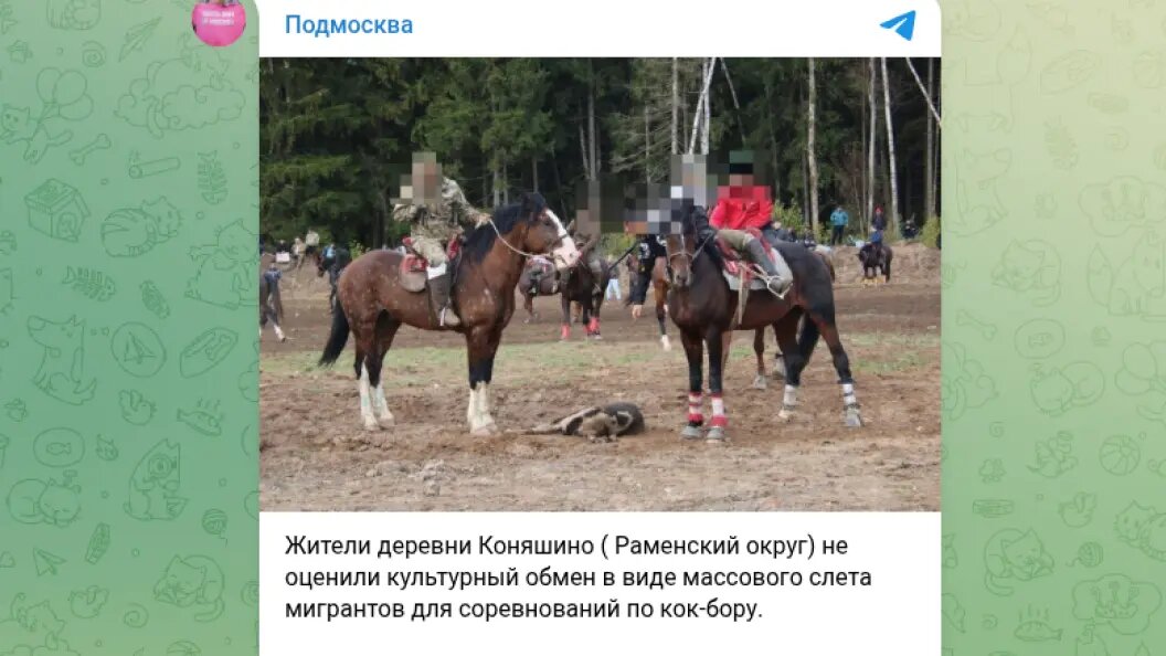    фото: тг-канал "Подмосква".