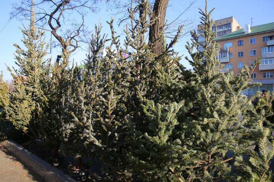    Источник фото: