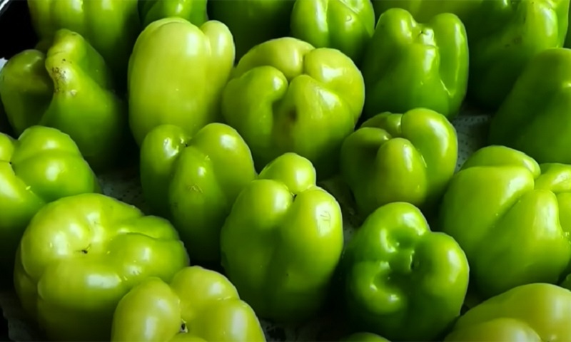 Необычный способ заготовки болгарских перцев – фаршируем и закатываем