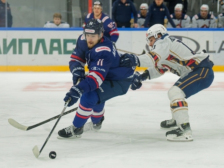     Фото: соцсети ХК ЦСК ВВС