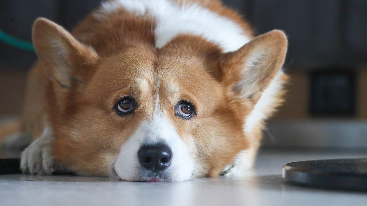    Фото: Василий Кузьмиченок / АГН Москва