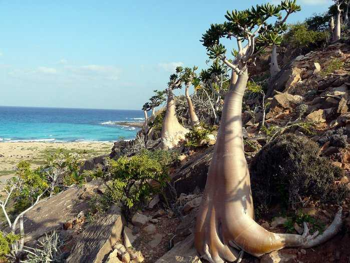 Источник: adm-konst.livejournal.com