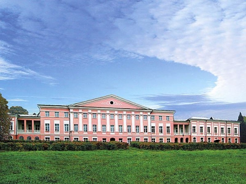 Палас-отель в Новых Ельцах