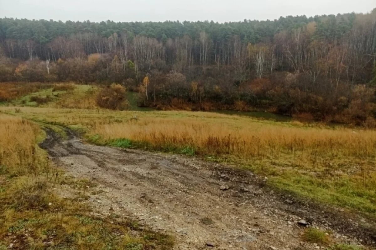    Стали известны подробности убийства 19-летней девушки под Новосибирском