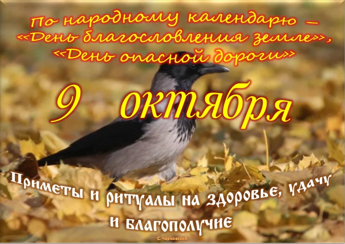 Встречаем новый день