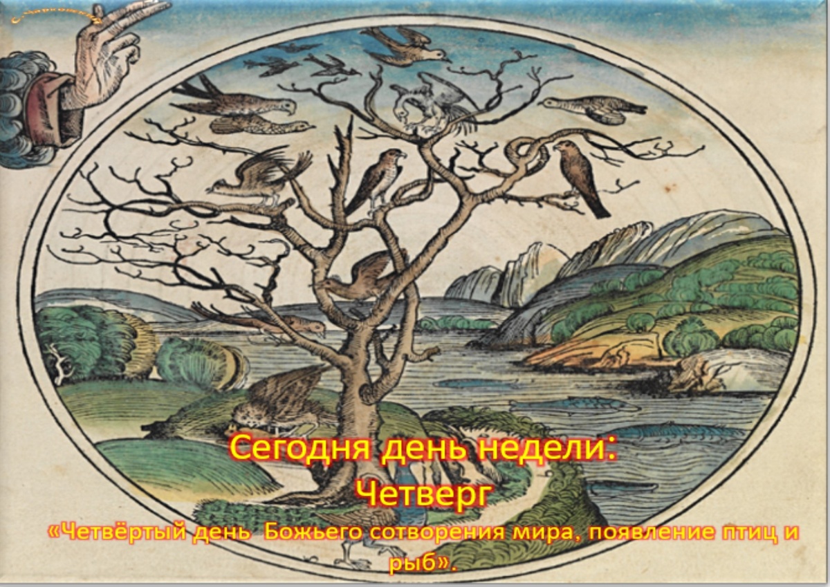 Встречаем новый день