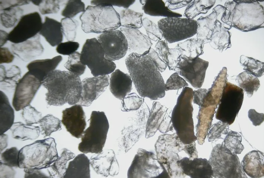 Это обычный песок под оптическим микроскопом. Сколько тут песчинок? И у каждой есть площадь