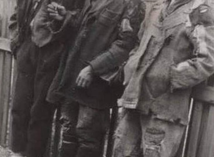 Как уничтожали дивизию СС "Галичина"? Они умели лишь пить горилку и издеваться над безоружными