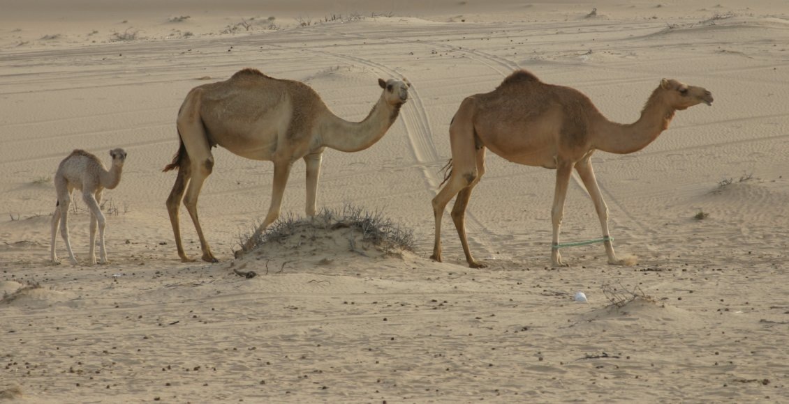    Фото: НИА "Экология"