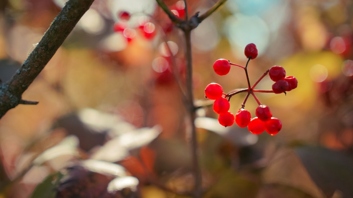 Светлана Мулыкина📷
