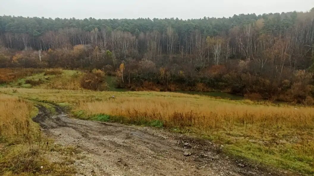    Фото: СУ СКР по Новосибирской области