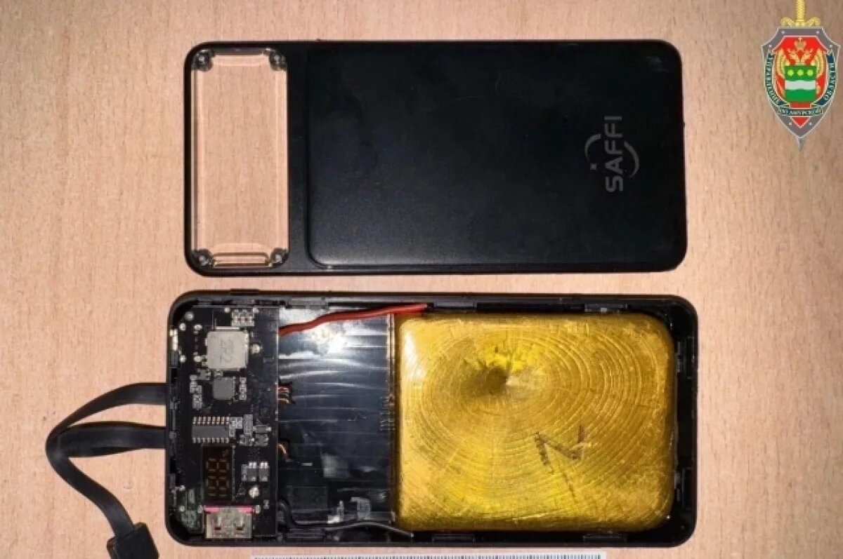    Иностранец пытался вывезти из РФ в пауэрбанке слиток золота на 9 млн рублей