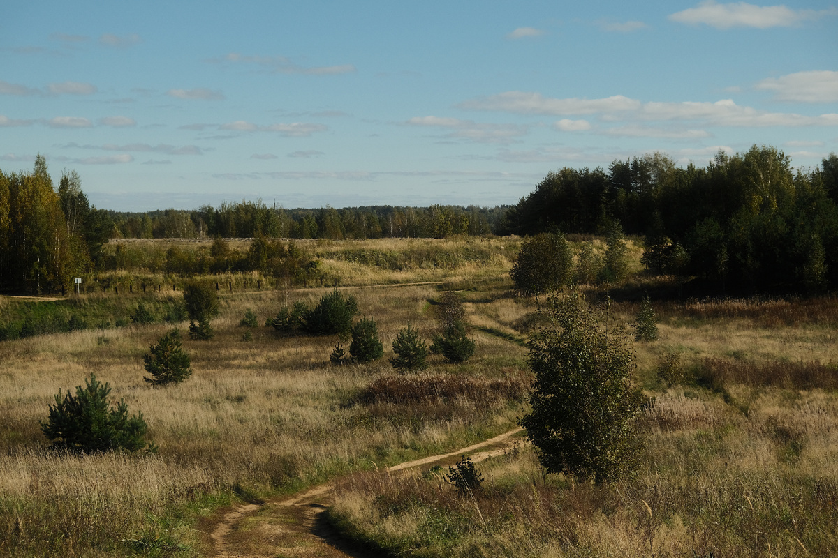 Ленинградская область. Всеволожский район. Фотография автора. 