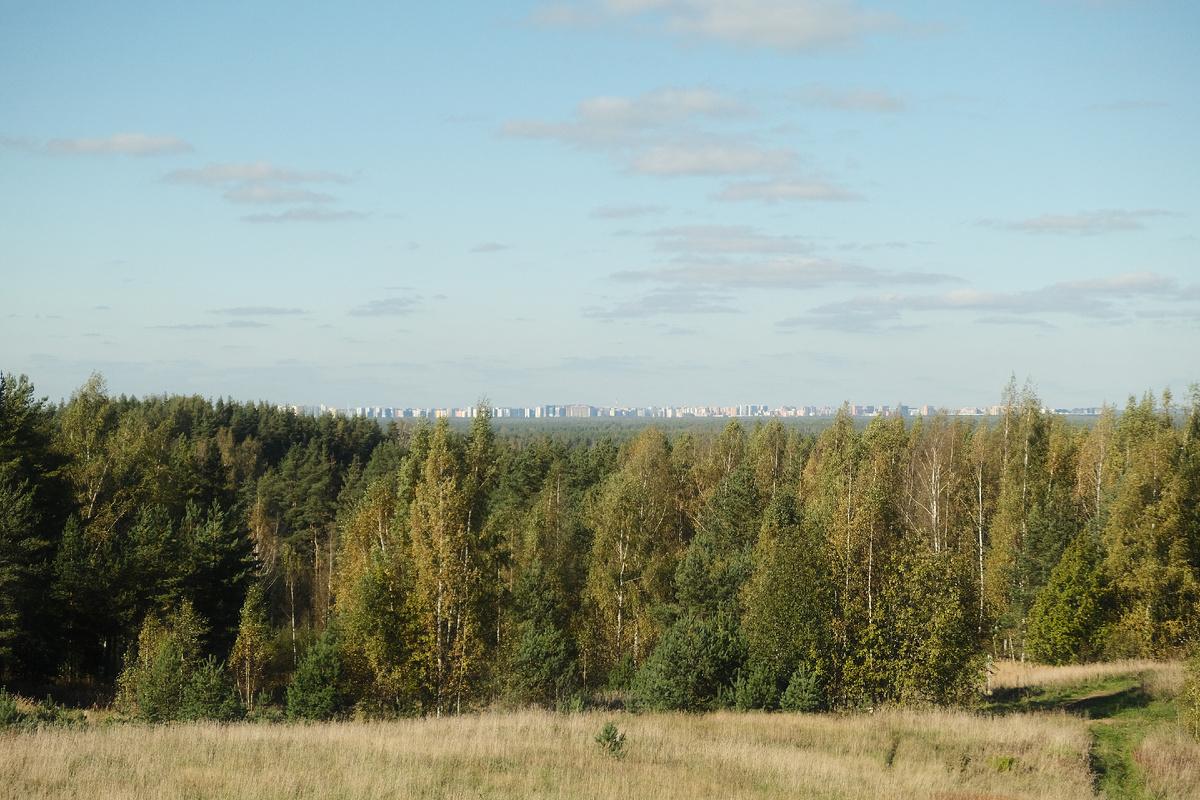 Ленинградская область. Всеволожский район. Фотография автора.