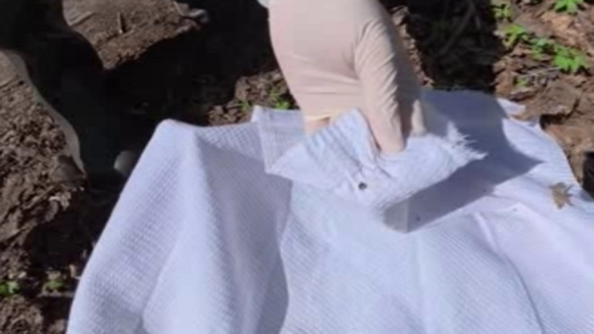    Лето в Курске прошло, клещи остались