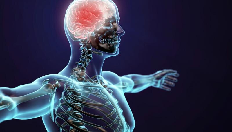 Из ЯндексКартинок 