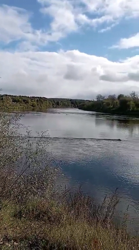 То самое озеро где плавали утки. 