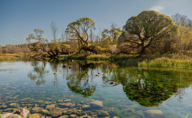    © Telegram / Александр ДроZденко