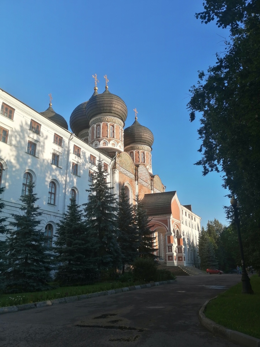 фото автора август 2025 года.