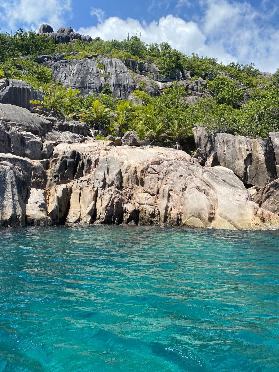 Екатерина Горшкова