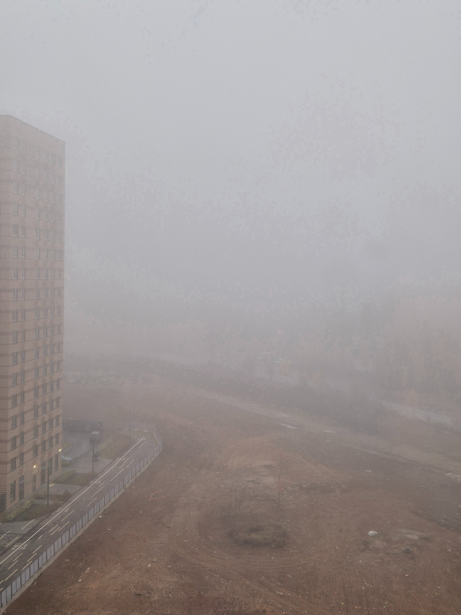 Утро в Новой Москве, 08.10.2025