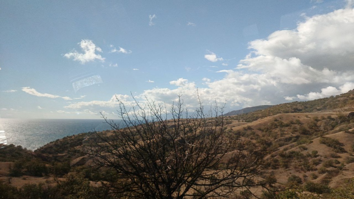 Вид из окна маршрутки. Листайте!