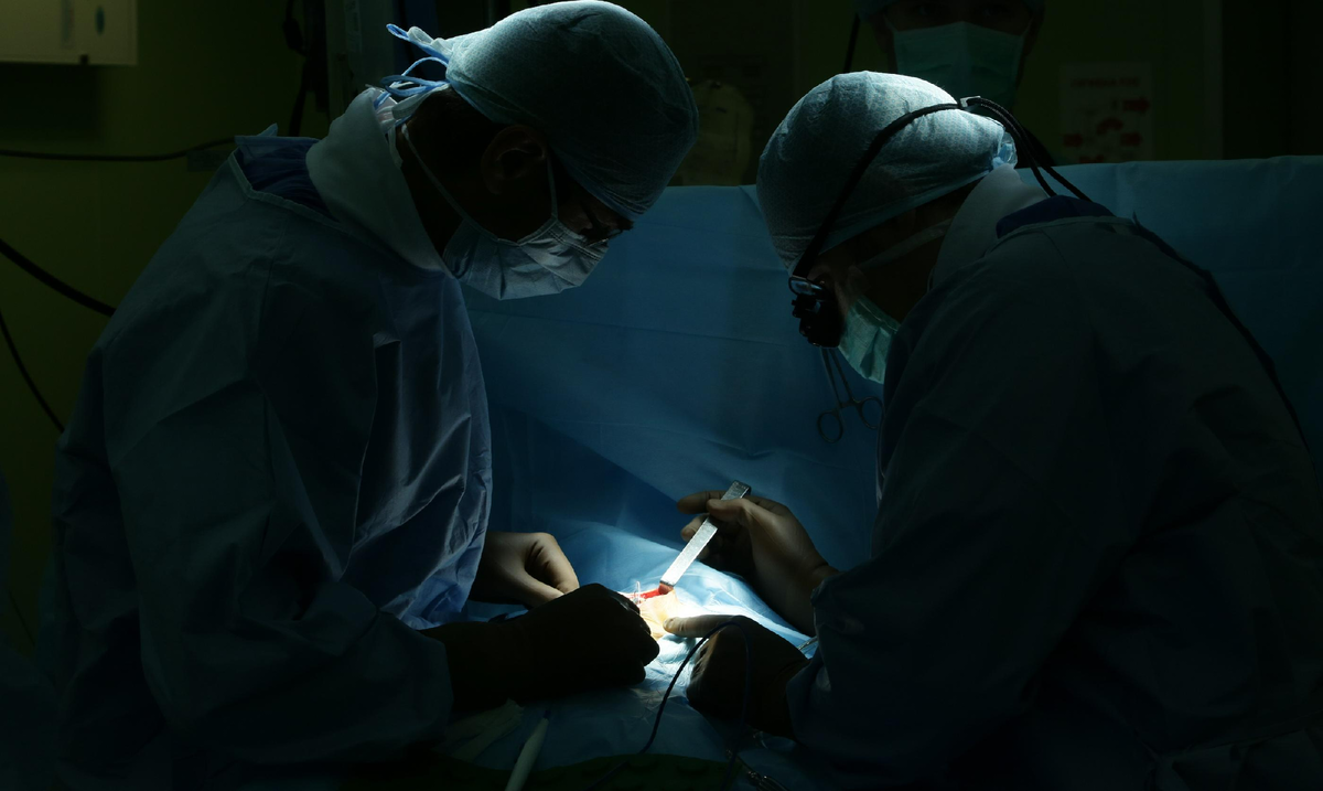 Фото: nsknews.info