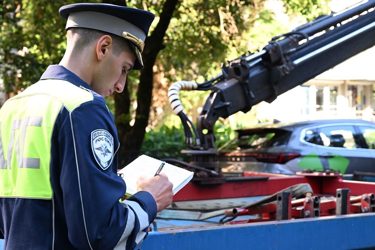    фото: Telegram/Сочи Официальный