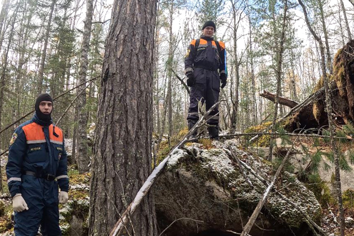    Официальный канал ГУ МЧС России по Красноярскому краю / Telegram