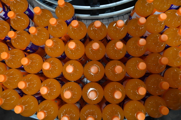 Фото: Евгений Биятов/РИА Новости