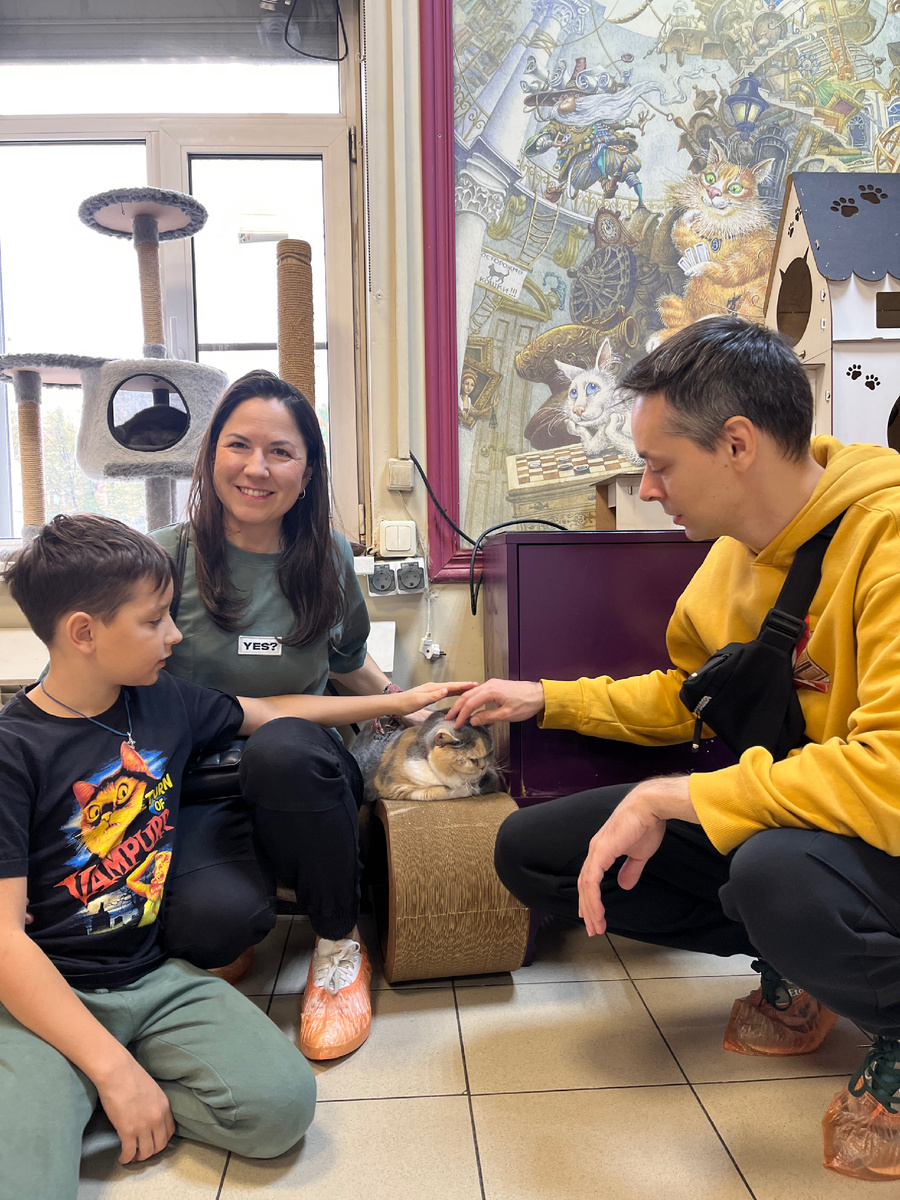 Республика кошек в СПб