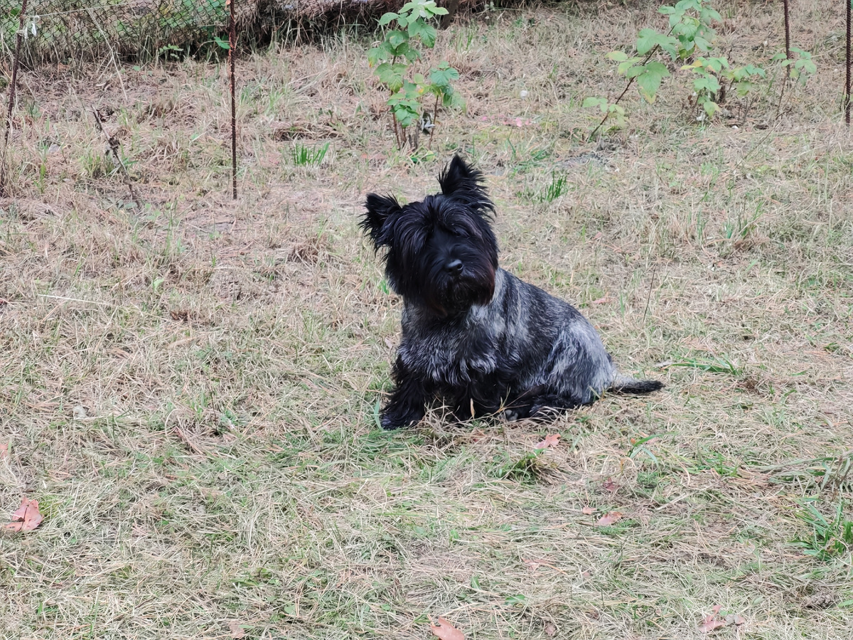 Будьте счастливы!