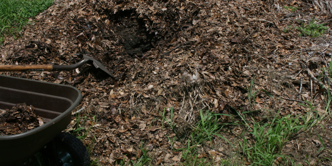 Из мусора в чернозём: три главные ошибки при компостировании, которые совершают все