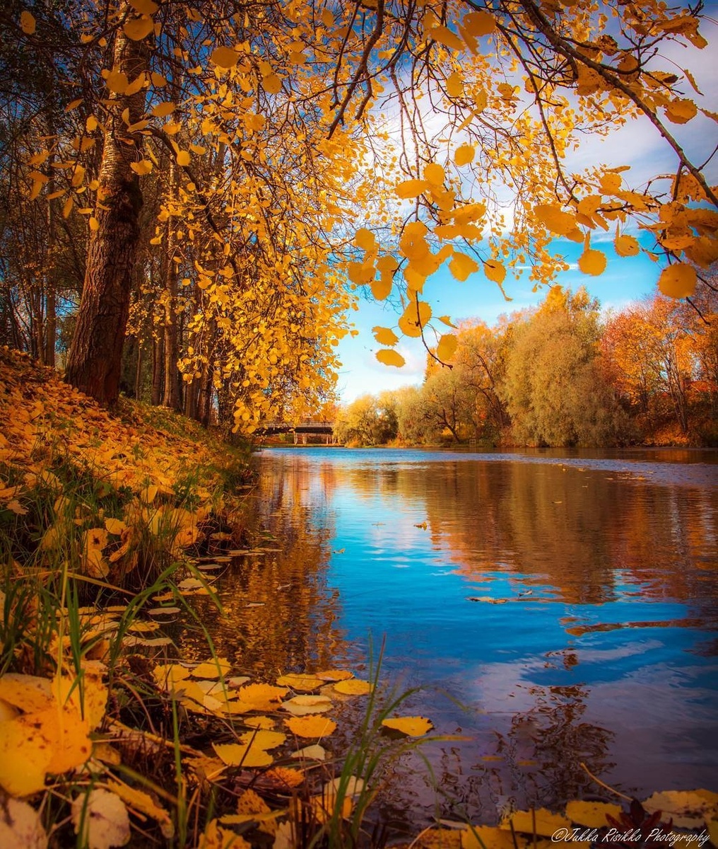 Картинка найдена на просторах интернета, ссылка https://yandex.ru/images/search?from=tabbar&img_url=https%3A%2Fi%2F.pinimg.com%2Foriginals%2Fa8%2F34%2Fа3f%2Fa83р43f81с28719b5e7bd5274cf0591a19.jpg&lr=47&pos=15&rpt=simage&text=%D1%86%D0%B2%D0%B5%D1%82%D1%8B%20%D0%BA%D1%80%D1%83%D0%BF%D0%BD%D0%BE%20%D1%84%D0%BE%D1%82%D0%BE